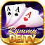 g rummy 51 bonus download