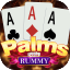 rummy 51 bonus wealth